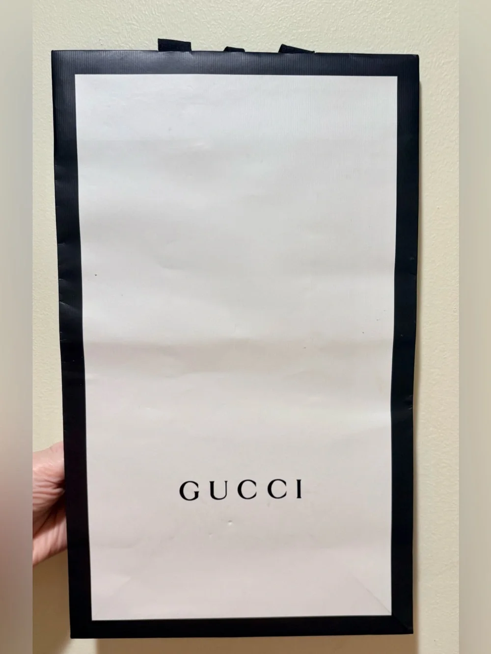 Gucci Empty Shopping Bag